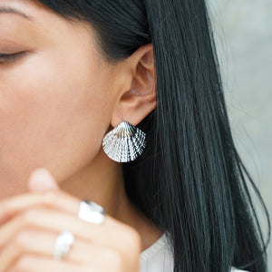 Scallop Shape Earring - Silver