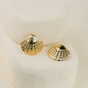 Scallop Shape Earring - Gold