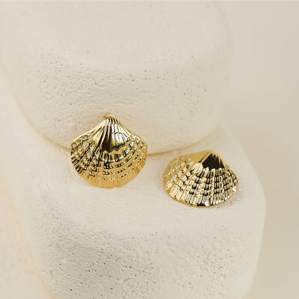 Scallop Shape Earring - Gold